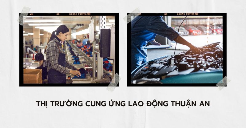 Thị trường cung ứng lao động Thuận An